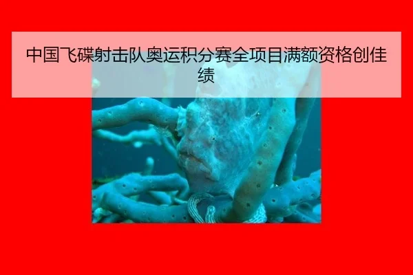 中国飞碟射击队奥运积分赛全项目满额资格创佳绩