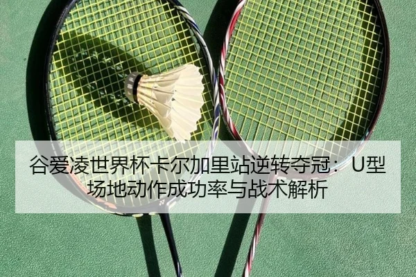 gu-ai-ling-shi-jie-bei-ka-er-jia-li-zhan-ni-zhuan-duo-guan-xing-chang-di-dong-zuo-cheng-gong-lv-yu-zhan-shu-jie-xi-2-836.jpg